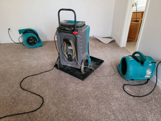 Best Emergency water damage restoration  in Hanover, MN