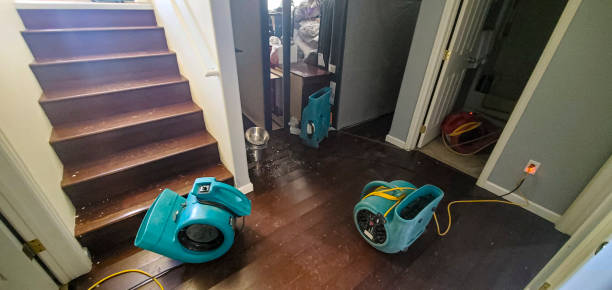 Best Residential water damage restoration  in Hanover, MN
