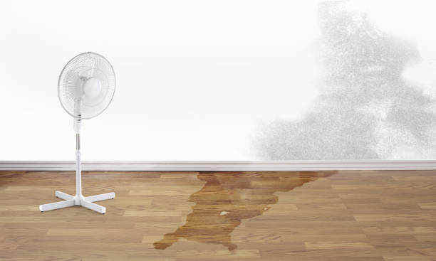 Best Flooded house restoration  in Hanover, MN