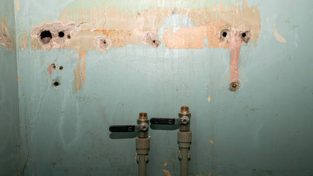 Best Flood damage cleanup  in Hanover, MN